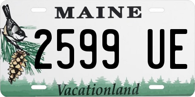 ME license plate 2599UE