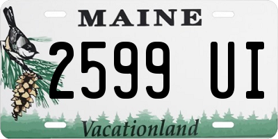 ME license plate 2599UI