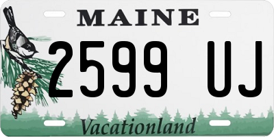 ME license plate 2599UJ