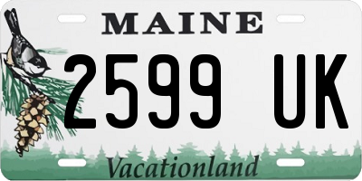 ME license plate 2599UK