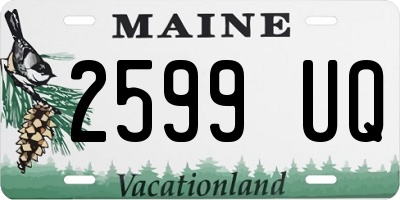 ME license plate 2599UQ