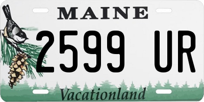 ME license plate 2599UR