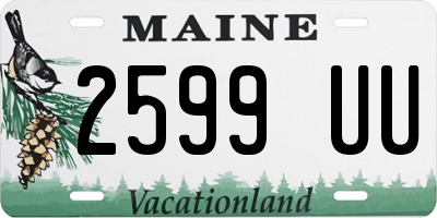 ME license plate 2599UU