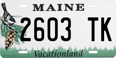 ME license plate 2603TK