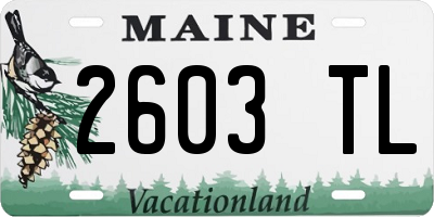 ME license plate 2603TL