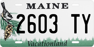 ME license plate 2603TY