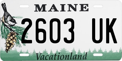 ME license plate 2603UK