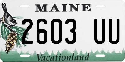 ME license plate 2603UU