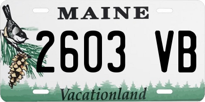 ME license plate 2603VB