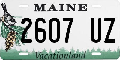 ME license plate 2607UZ