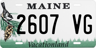 ME license plate 2607VG