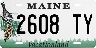 ME license plate 2608TY