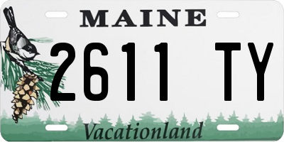 ME license plate 2611TY