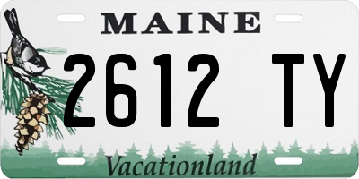 ME license plate 2612TY