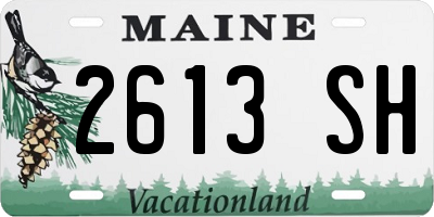 ME license plate 2613SH