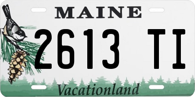 ME license plate 2613TI