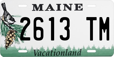 ME license plate 2613TM