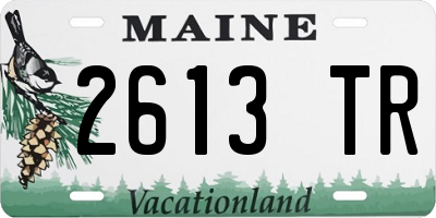 ME license plate 2613TR