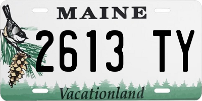 ME license plate 2613TY