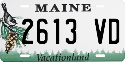 ME license plate 2613VD