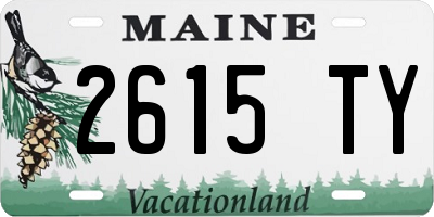 ME license plate 2615TY