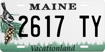ME license plate 2617TY