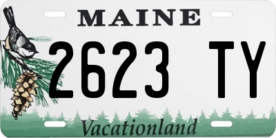 ME license plate 2623TY