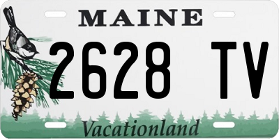 ME license plate 2628TV