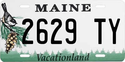 ME license plate 2629TY