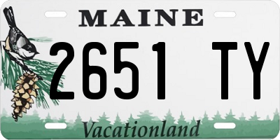 ME license plate 2651TY