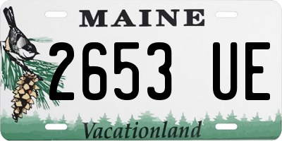 ME license plate 2653UE