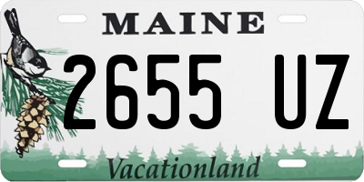 ME license plate 2655UZ