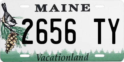 ME license plate 2656TY