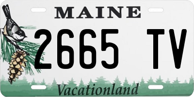 ME license plate 2665TV