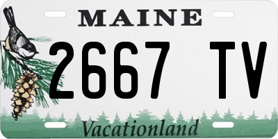 ME license plate 2667TV