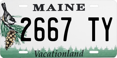 ME license plate 2667TY