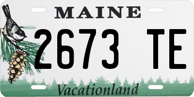 ME license plate 2673TE