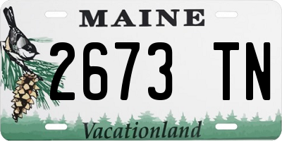ME license plate 2673TN