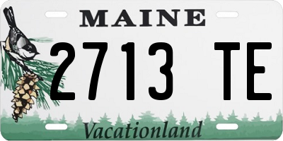 ME license plate 2713TE