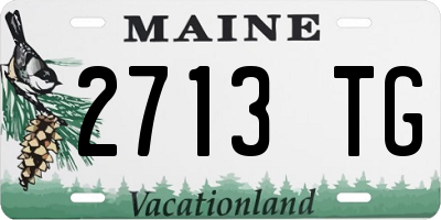 ME license plate 2713TG