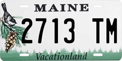 ME license plate 2713TM