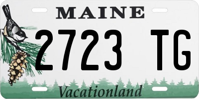 ME license plate 2723TG