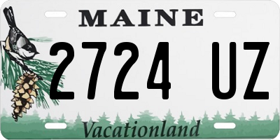 ME license plate 2724UZ