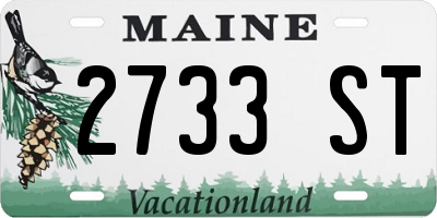 ME license plate 2733ST