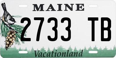 ME license plate 2733TB