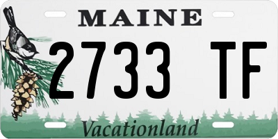 ME license plate 2733TF