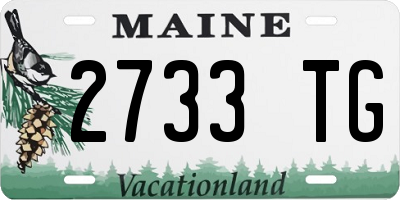 ME license plate 2733TG