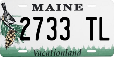 ME license plate 2733TL