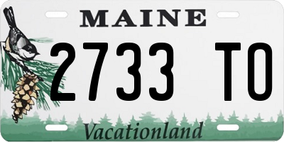 ME license plate 2733TO