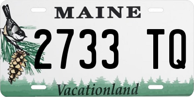ME license plate 2733TQ